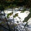 Under 12s 3= Sally Taylor Falls at Water of Leith